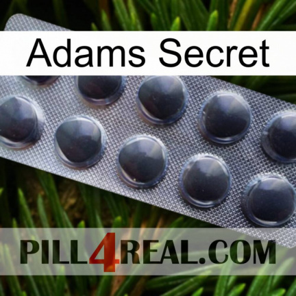 Adams Secret 30